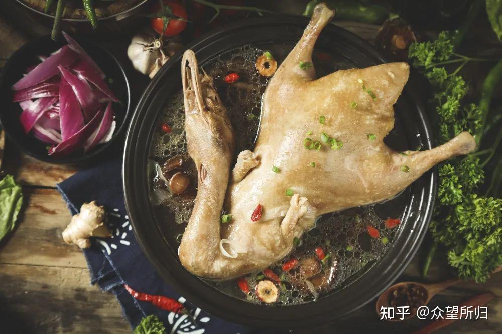 鸭子怎么分辨公母 - 知乎