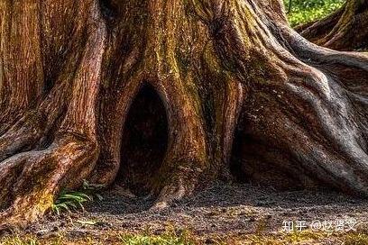 赵贤文:《道德经》中归根曰静,静曰复命 八个字里的大智慧 - 知乎