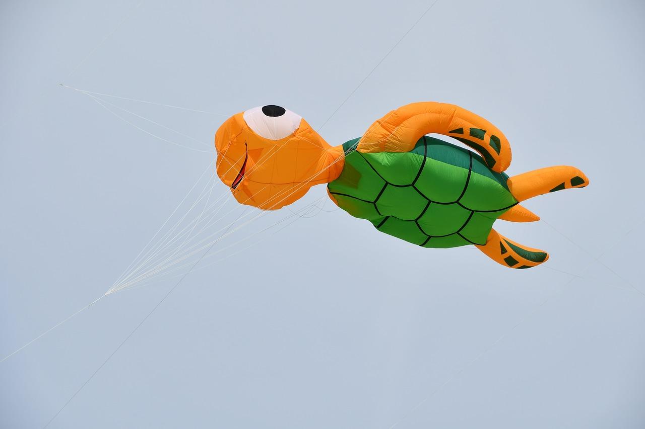 蜗牛的眼睛观察