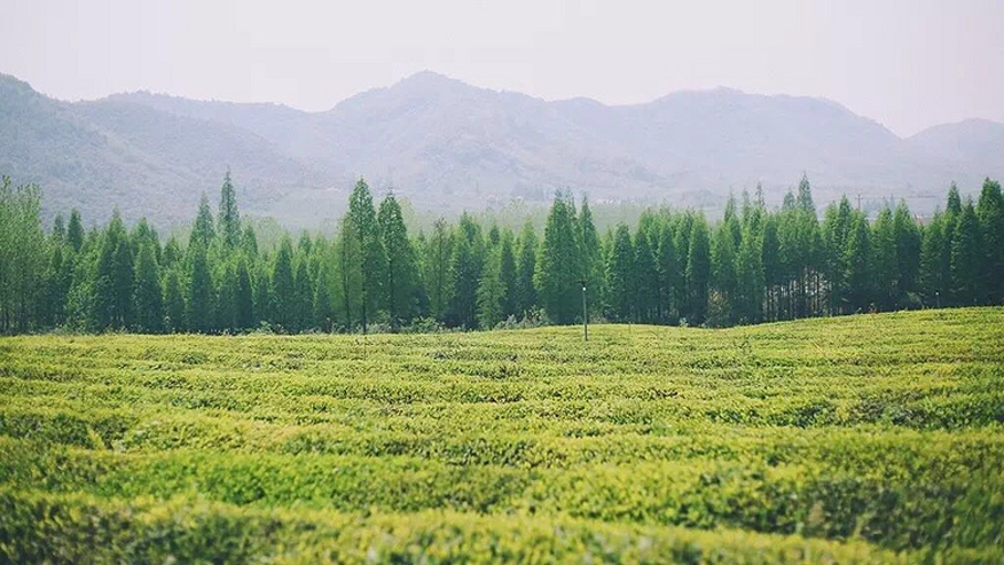 有哪些适合周末露营的地方?-岫岩露营推荐