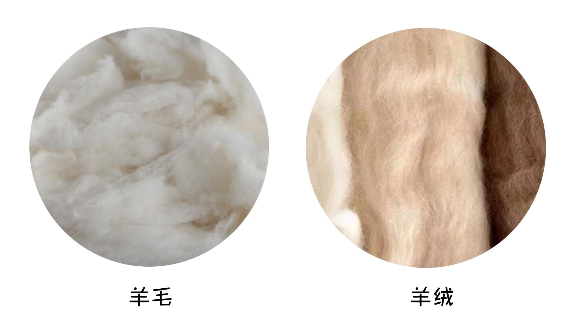揭秘系列—羊毛还是羊绒,冬天“续命”还是靠它吧? - 知乎