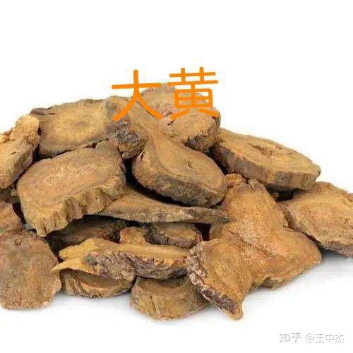 复习资料:正气与邪气 - 知乎