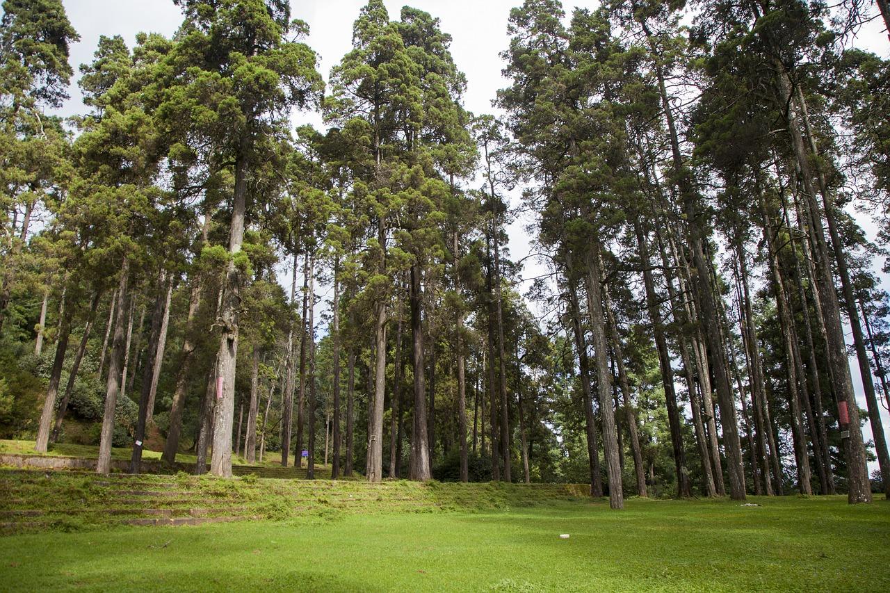 4. 小彩旗故里寻踪