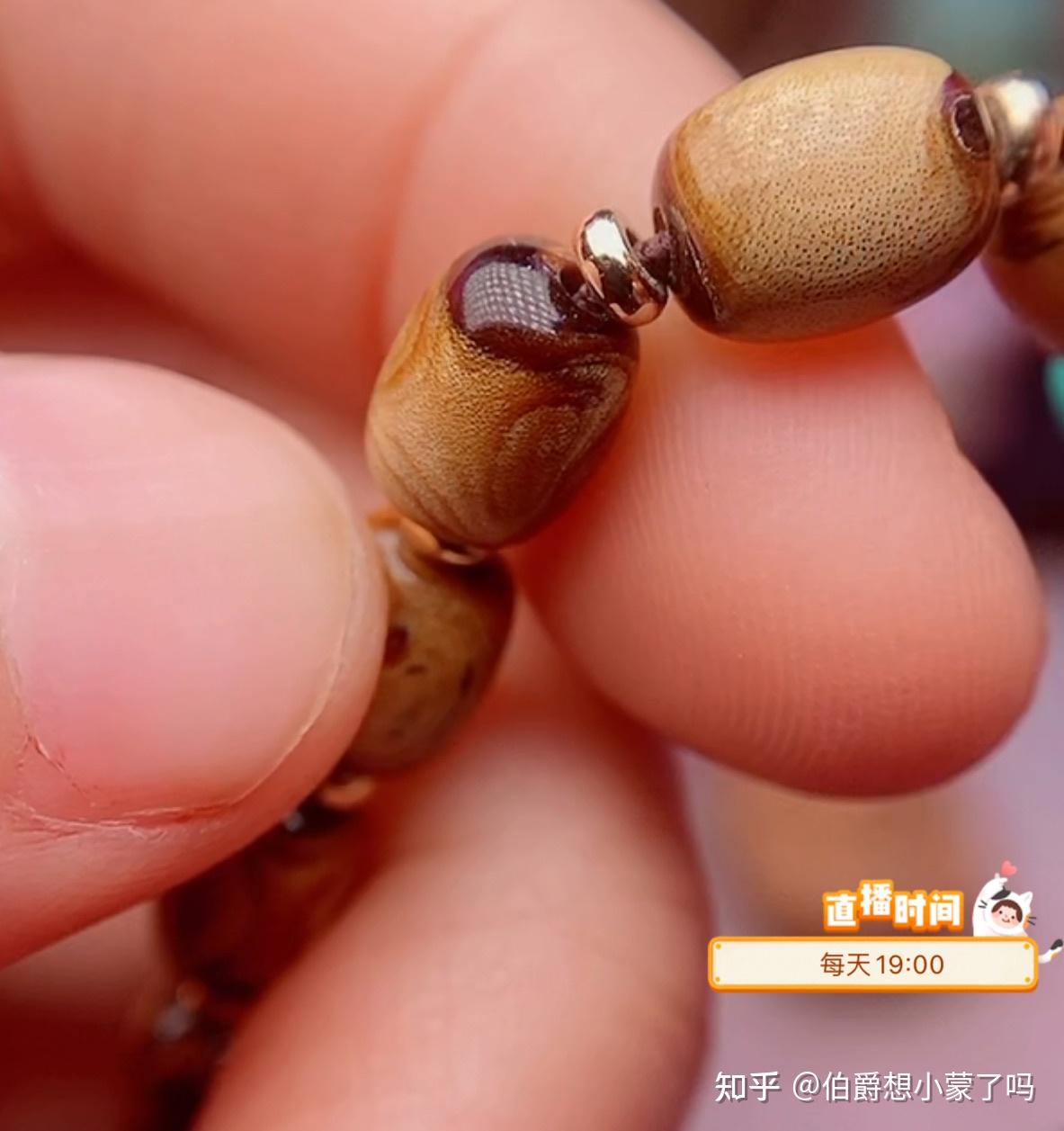 怎么区分真假海柳? - 知乎