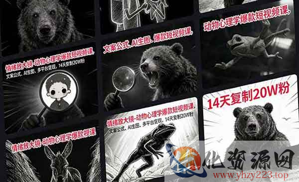 动物心理学爆款短视频_wwz