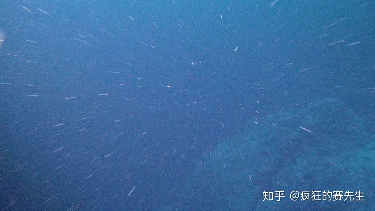 海洋雪:永不停止,春季最大 - 知乎