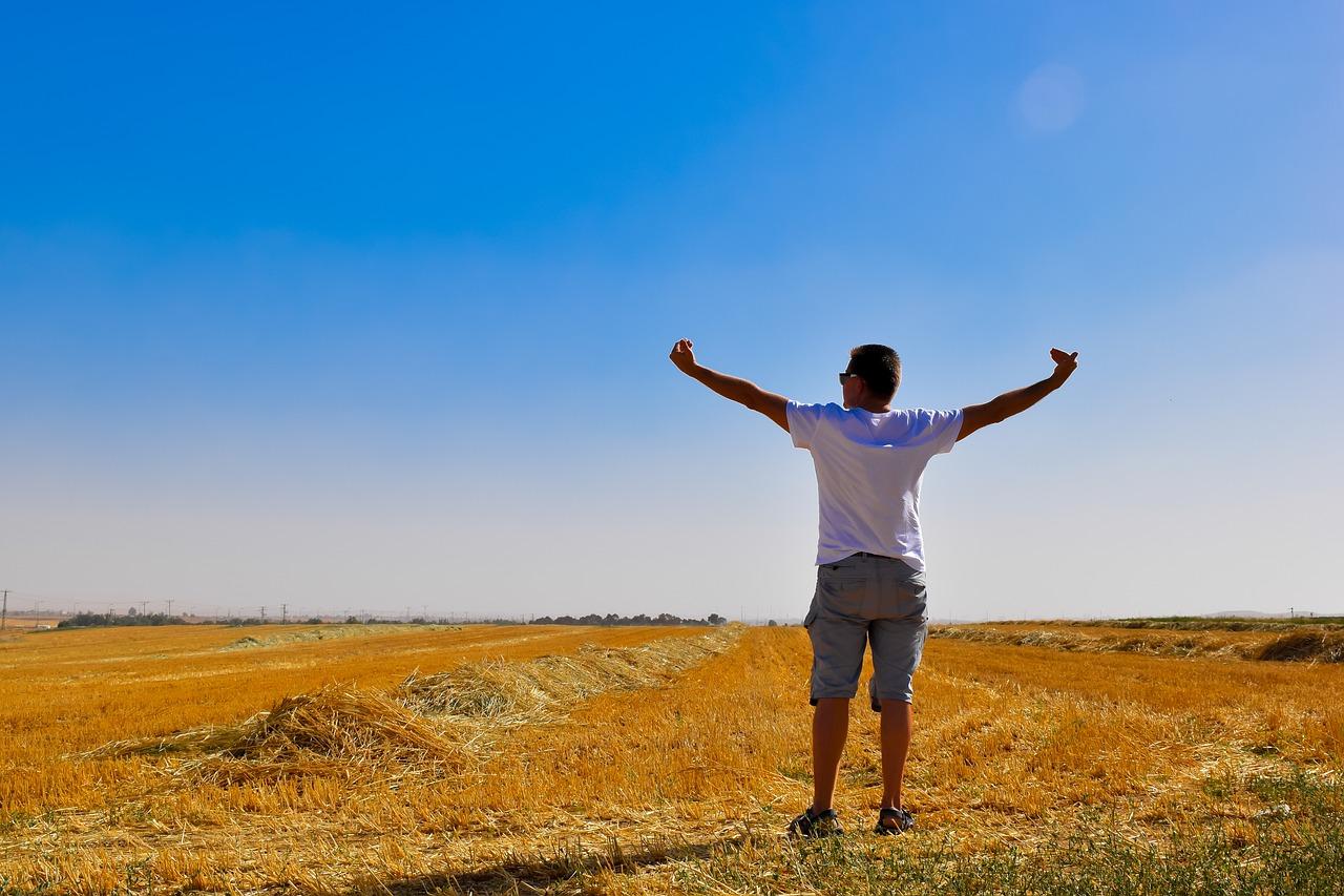 5. 社区环境亮点