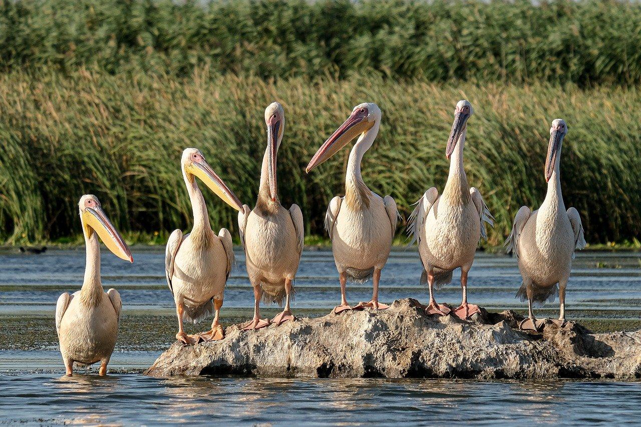 3. 配套设施完善