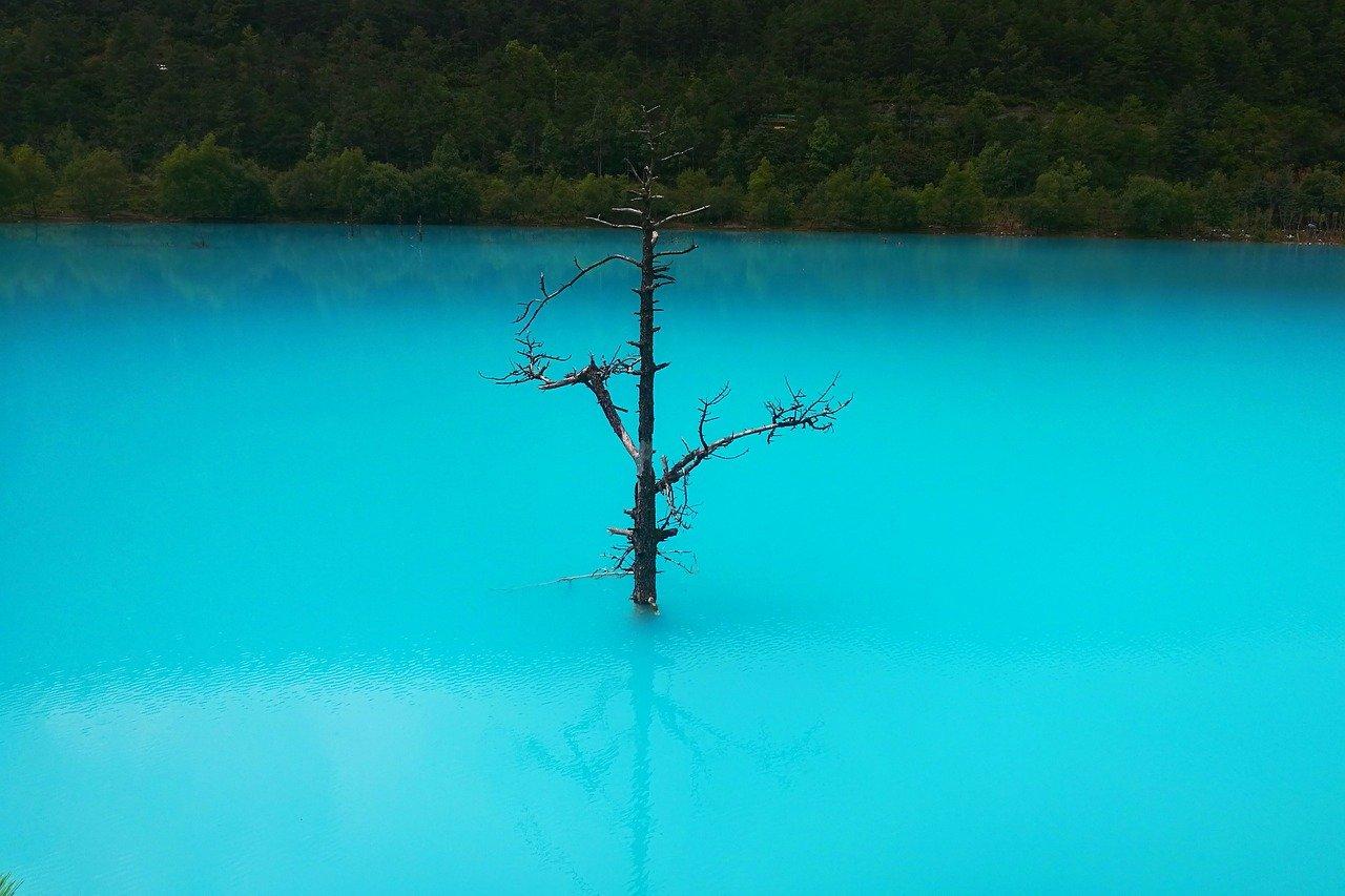 4. 黄龙玉收藏指南