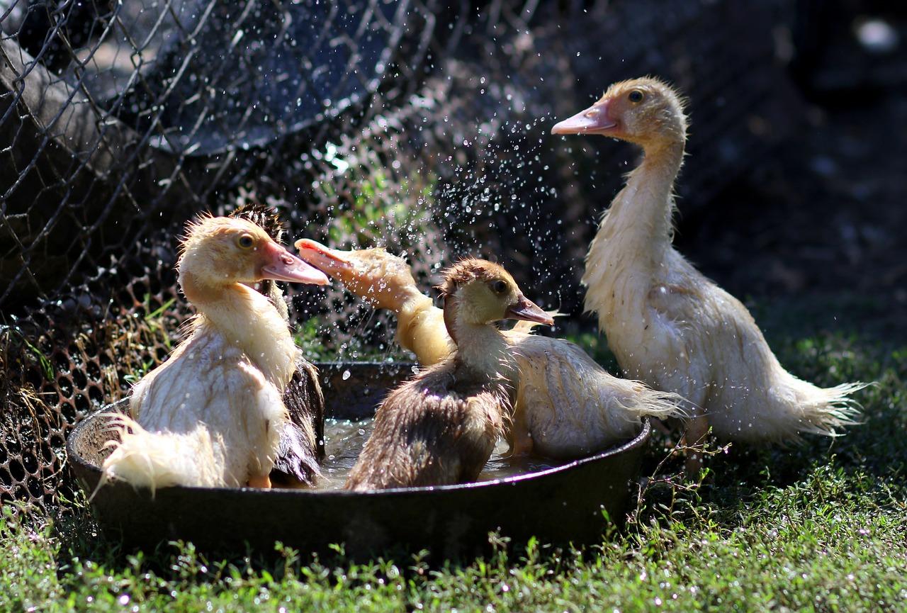 3. 节能热水系统
