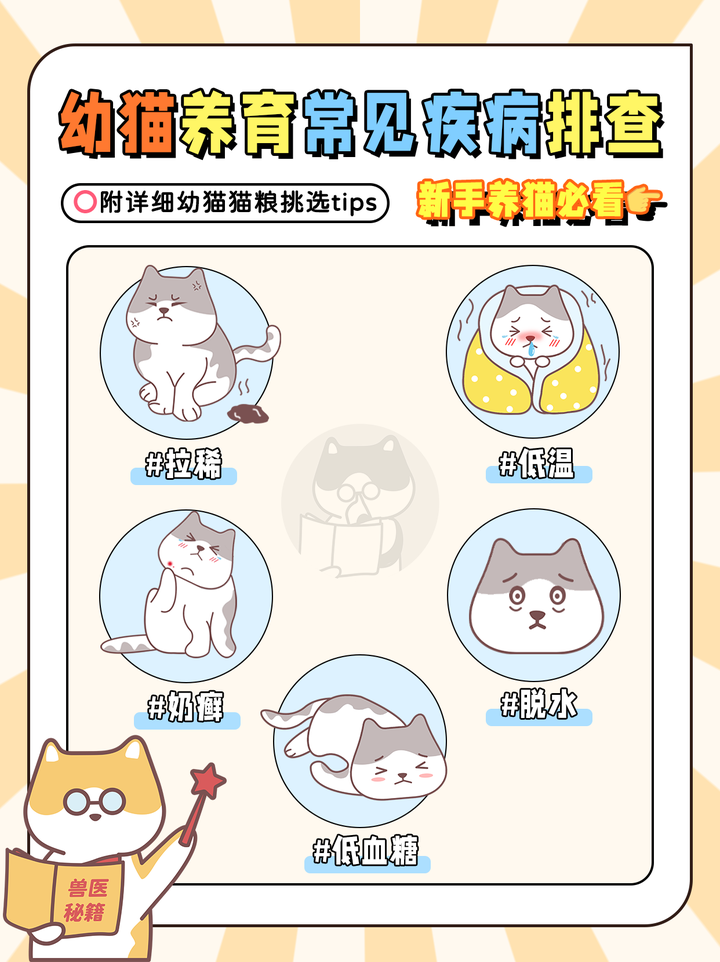 幼猫拉稀/奶癣?幼猫养育常见疾病排查 - 知乎