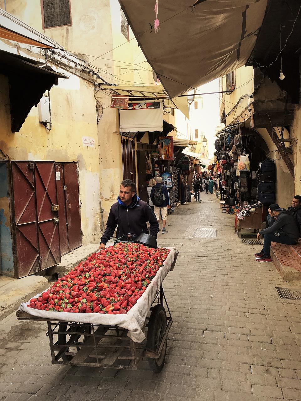 硕秋园租房多少钱