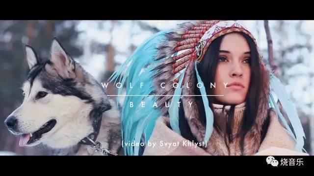 如何评价wolfcolony的歌词beauty