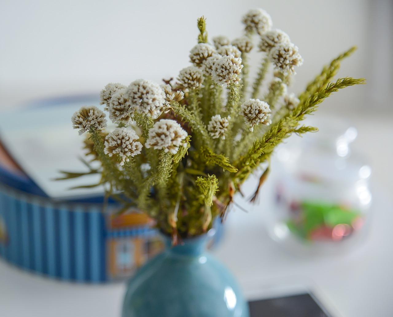 什么花做干花漂亮