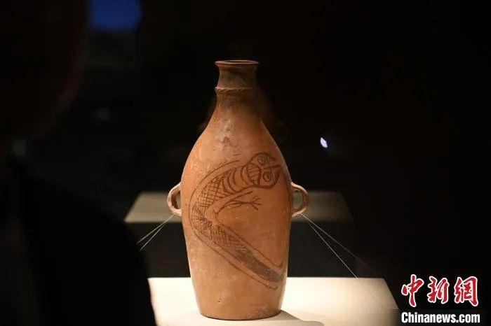 五千年前的鲵鱼纹彩陶瓶，为何冠绝「彩陶之乡」？ - 知乎