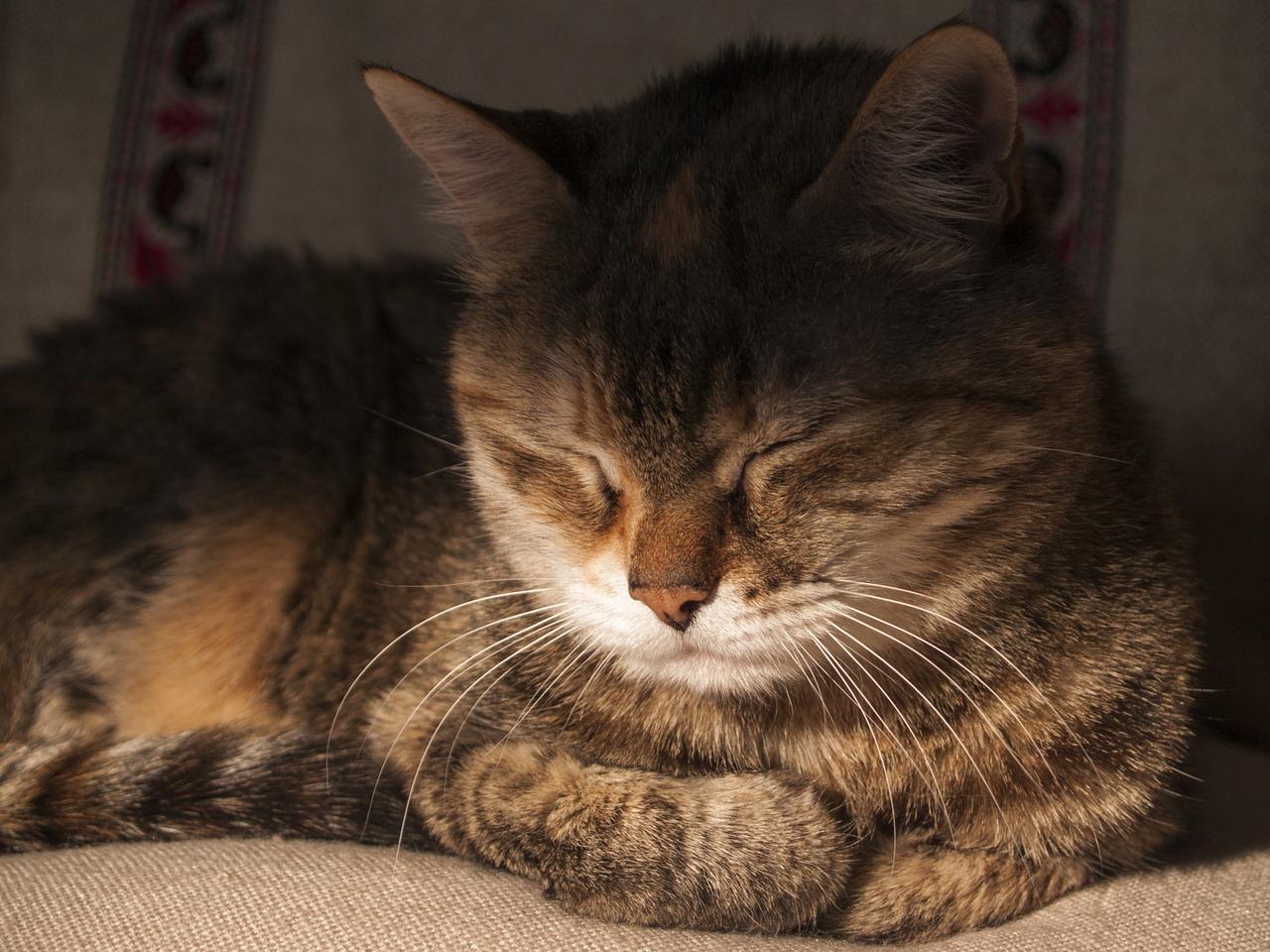 4. 自备午休床铺