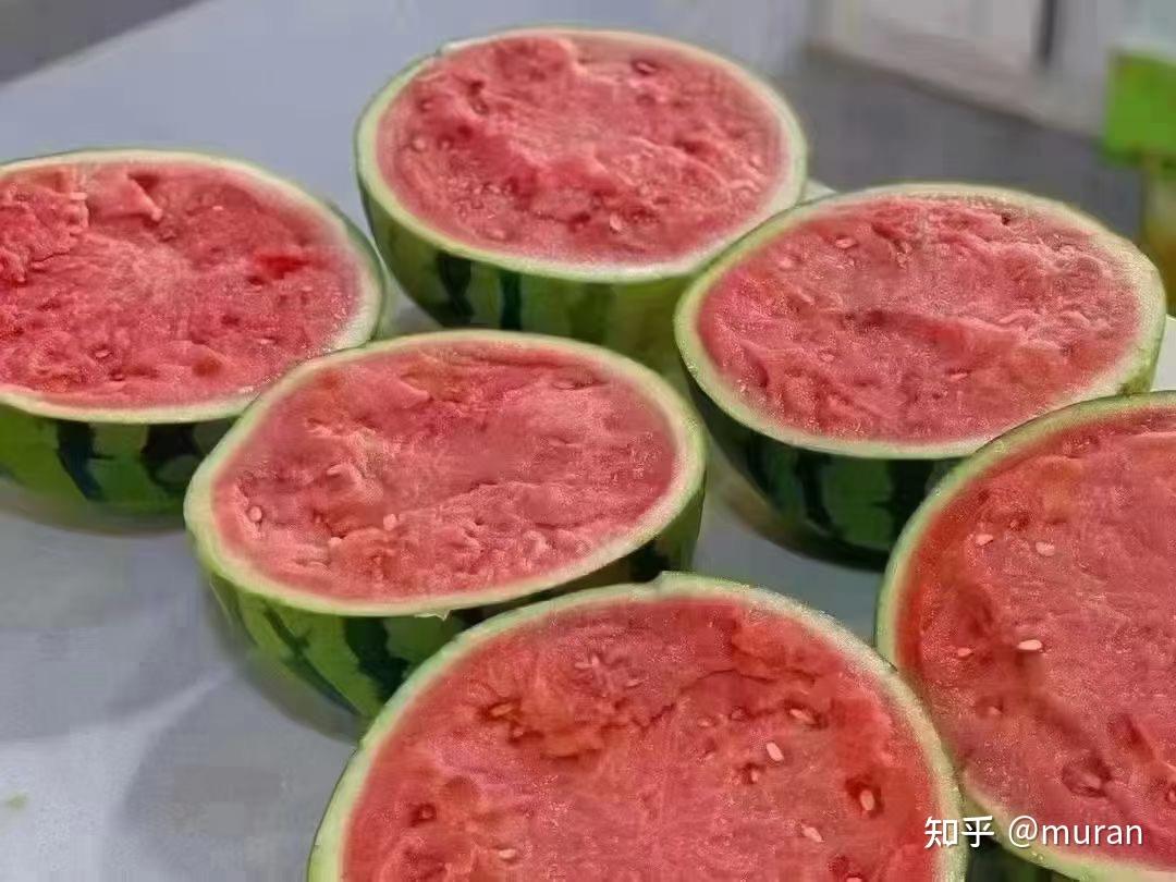 为啥天人一秾一包糖麒麟西瓜比别的西瓜甜