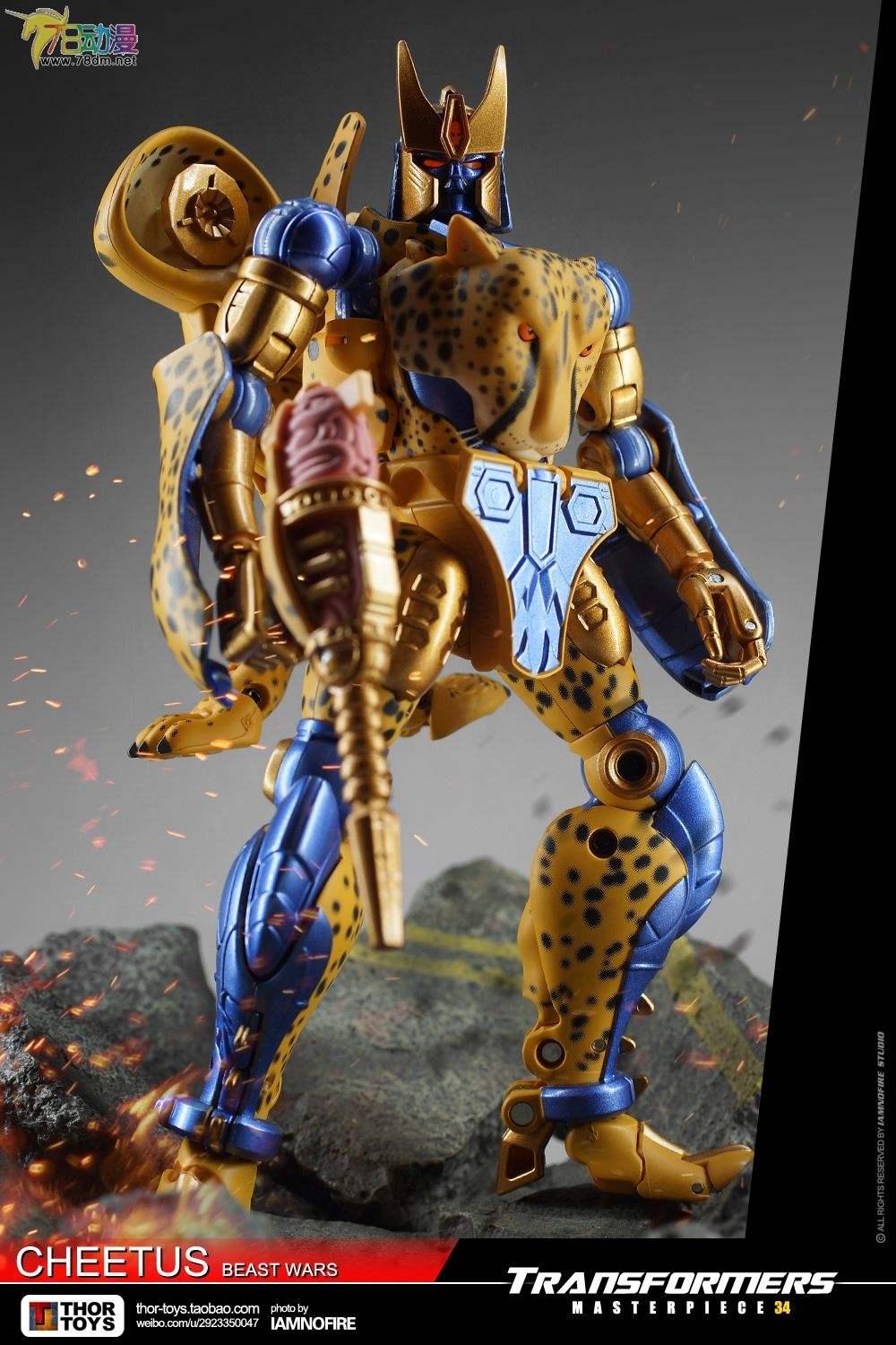 成年人打得过猎豹么