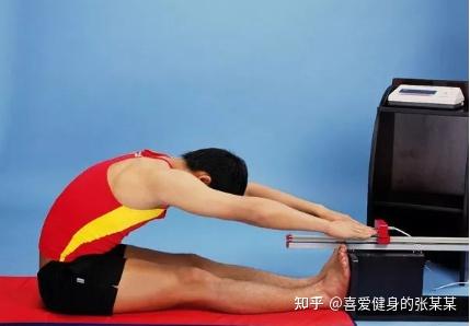 全职健身教练收入提升_教练 培训_国职证书考试攻略