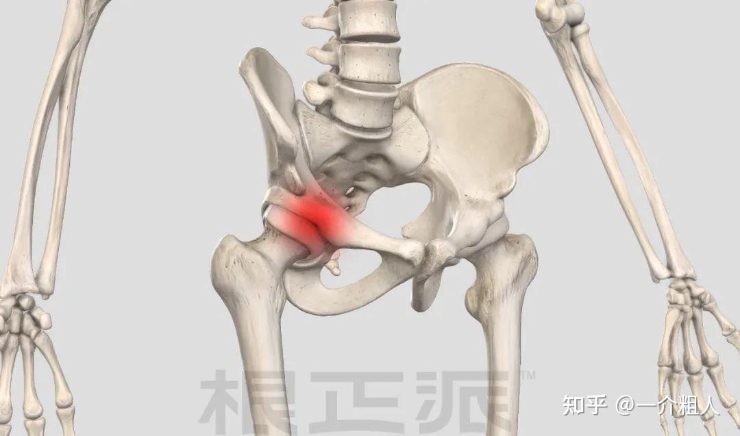 怎么瘦大腿前侧