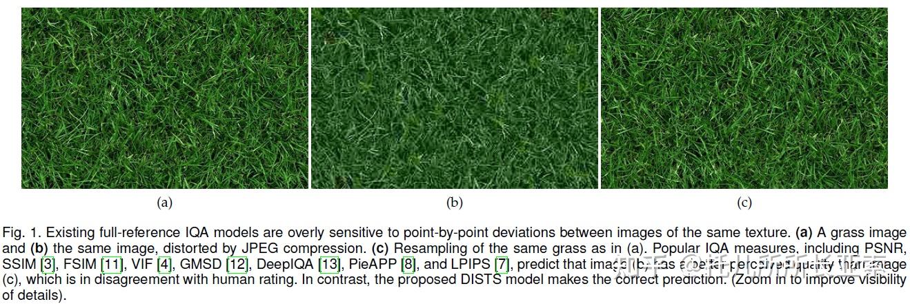 Structure Dist Image Quality Assessment: Unifying Structure and Texture Similarity 图像 ...