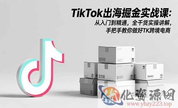 TikTok出海掘金实战_wwz