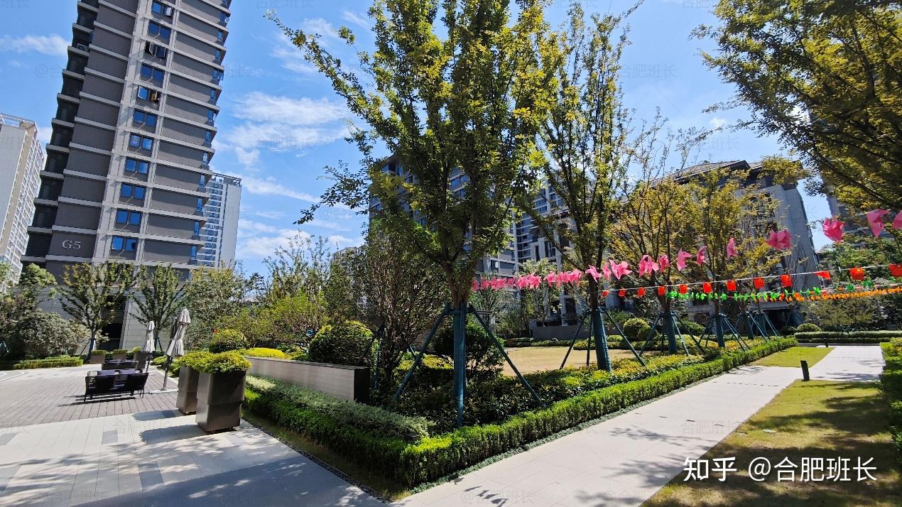 一个高颜值的红盘,实探政务东滨投蓝城滨河湾! - 知乎