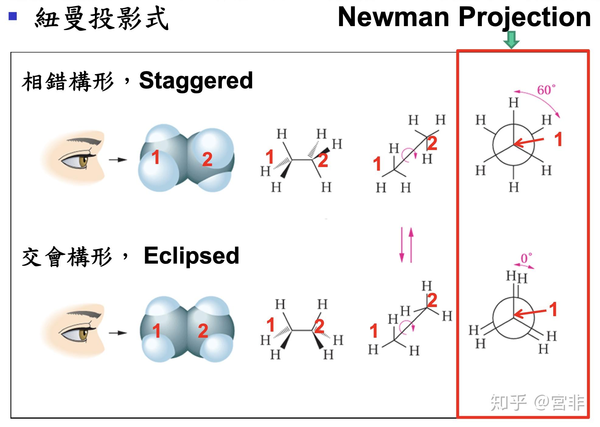 用纽曼投影式写出正戊烷沿c2—c3键旋转时的典型构象,并指出优势构象?