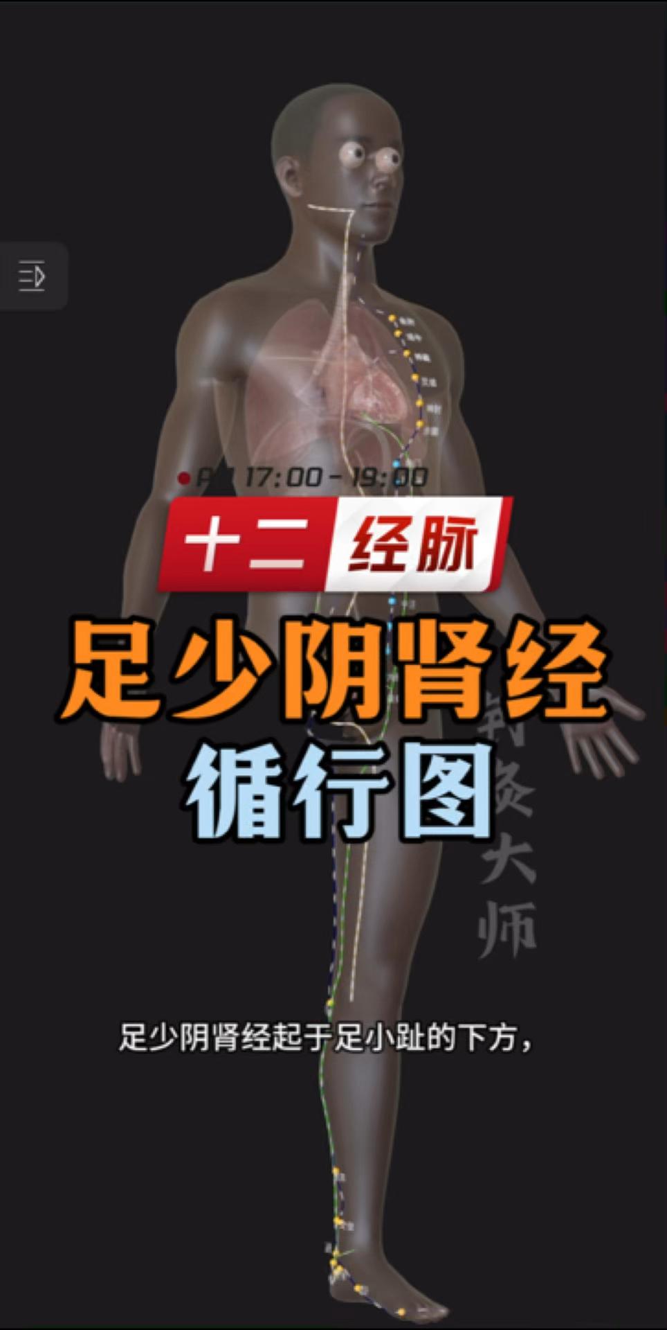 十二经脉之足少阴肾经循行路线图