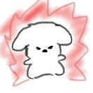 Zhihu profile picture for @cheesed