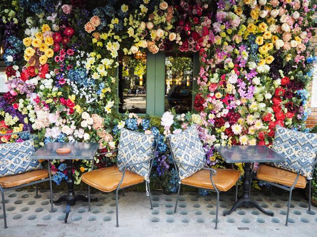 伦敦开花志 | London in Bloom - 知乎