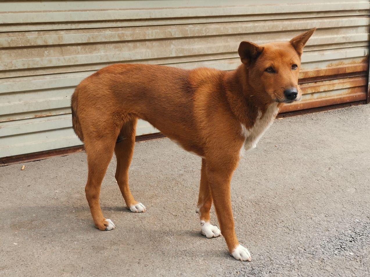 如何评价b站up主火星方阵在视频中提出"以土地换和平,难道不香吗"的
