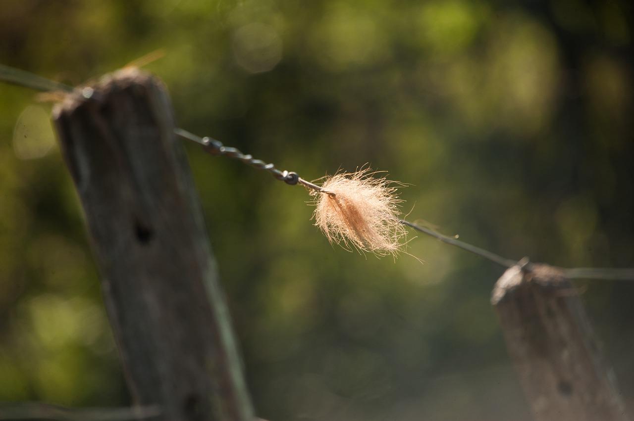 地线材质选择指南