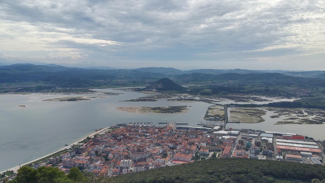 如何知道凤尾产卵