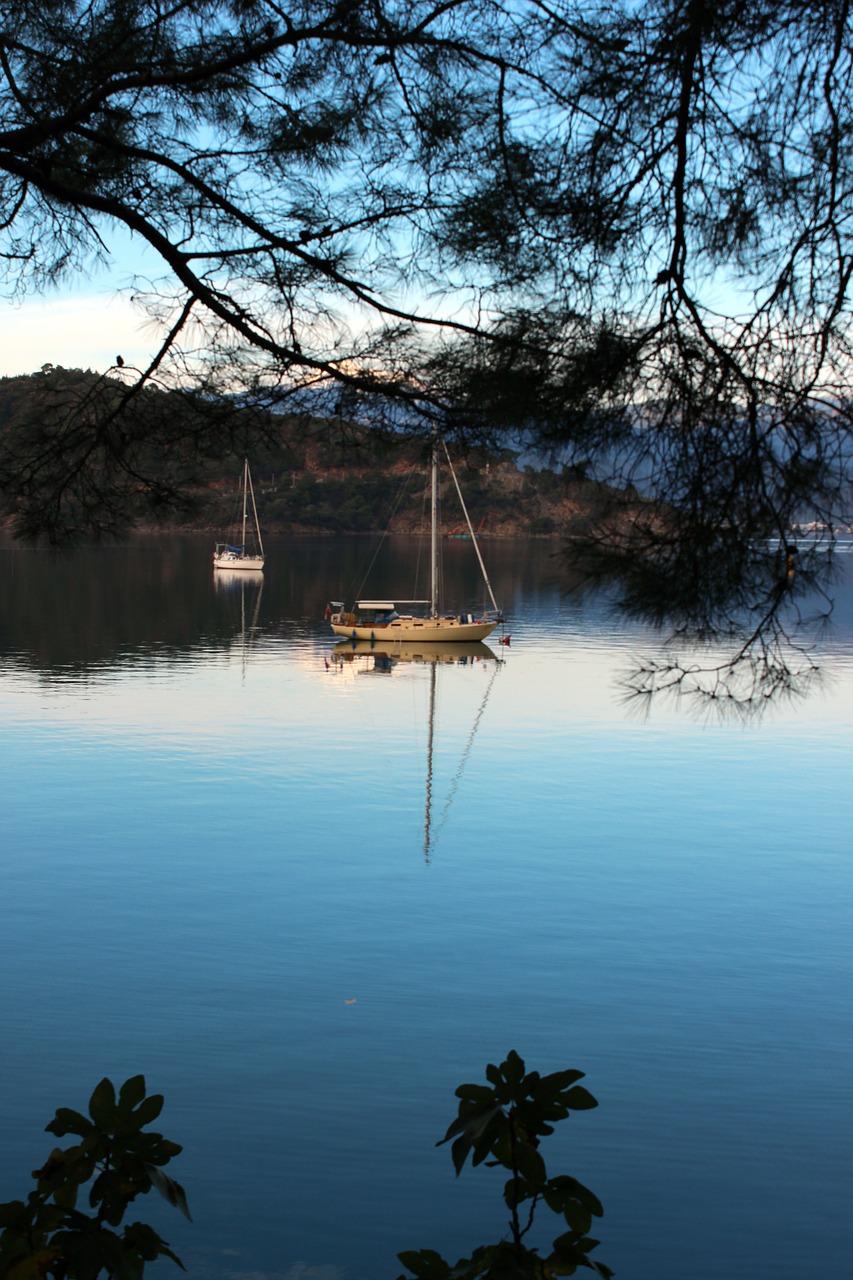 2. 房屋品质解析