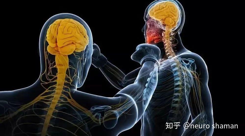 去皮层僵直是什么去皮层僵直与去大脑僵直有什么区别