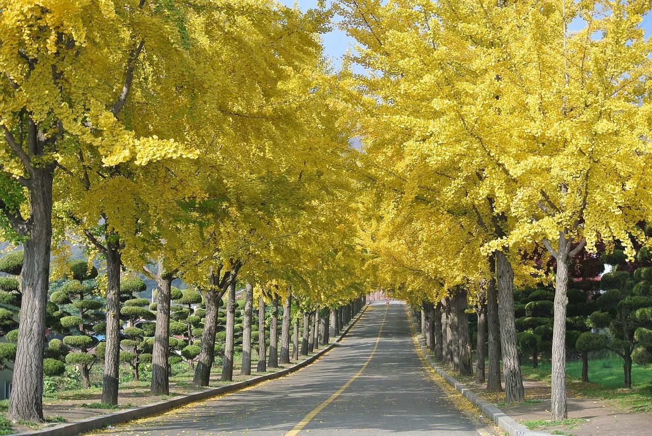 4. 环境宜人宜居