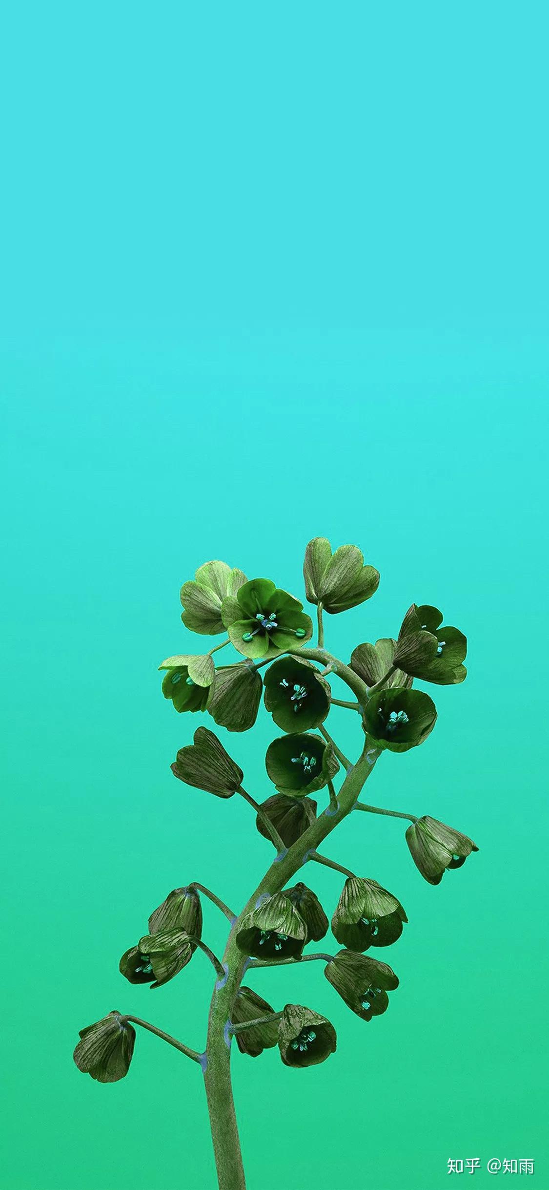 有没有全面屏的手机壁纸推荐?