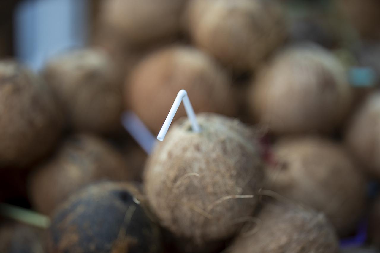 4. 健康椰子肉吃法