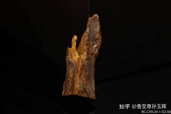 千年沉香，万年奇楠”，带你严谨了解奇楠的由来- 知乎
