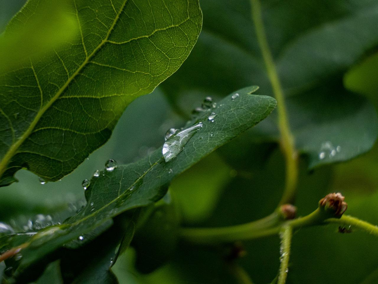 4. 口感软硬适中