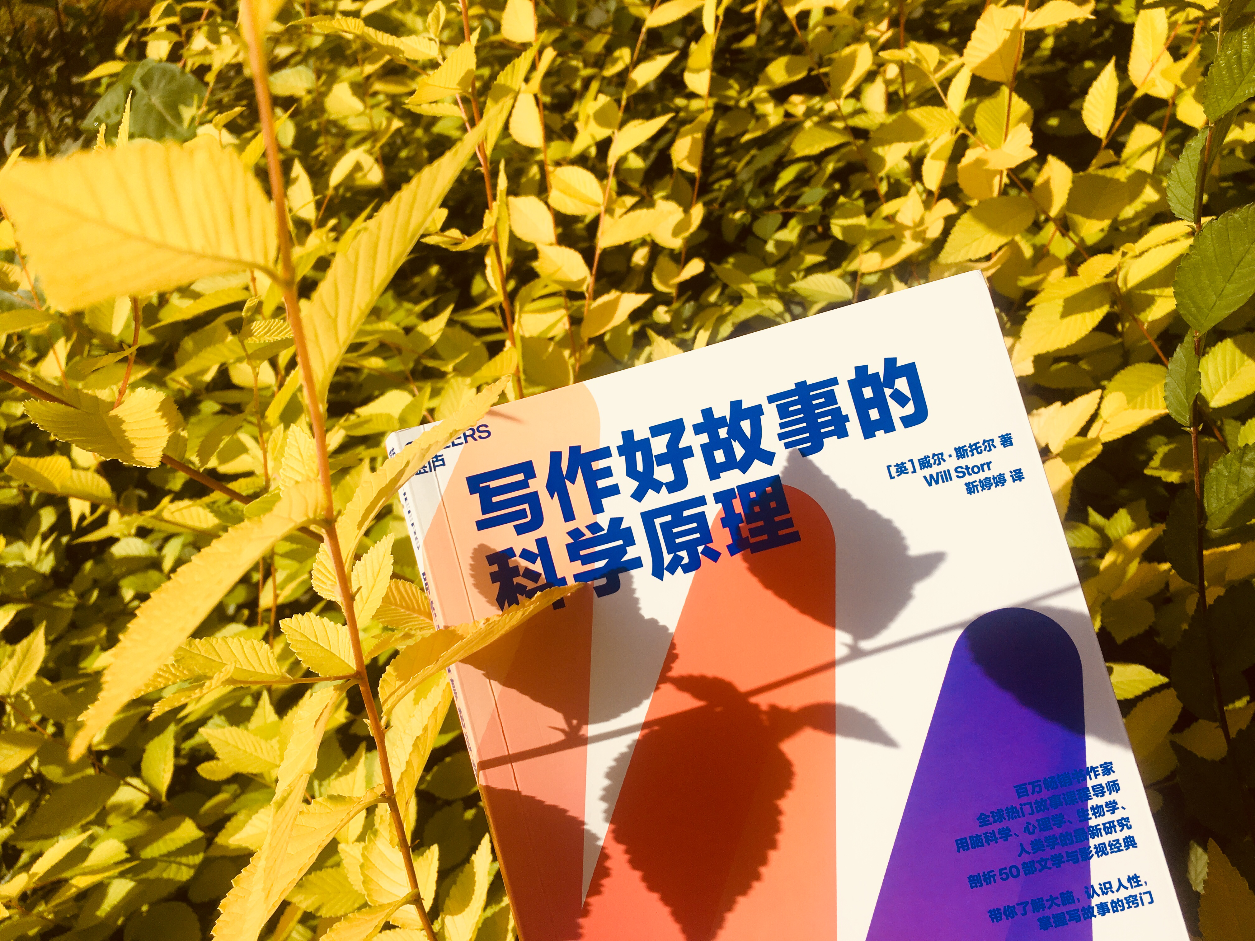 做副业搞钱，这本手把手教你写作好故事的“喂饭”指南先安排上 - 知乎