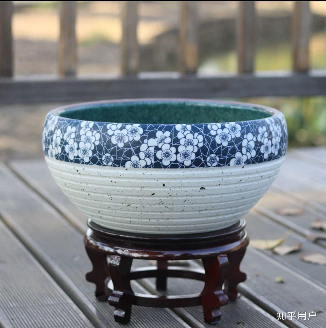 碗莲怎么水培?(水培碗莲种植方法图解)