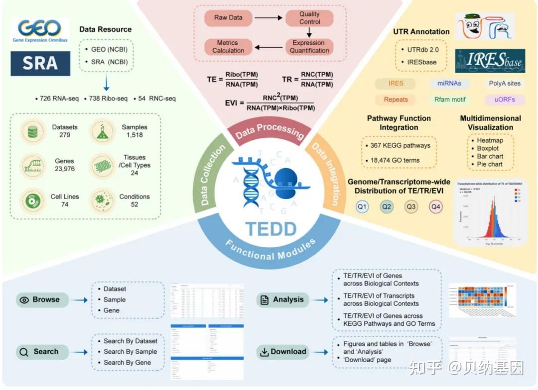 Tedd Task Model NAR重磅|肖景发&陈非团队发布TEDD翻译组数据库:动态解析翻译效率的权威资源 - 知乎