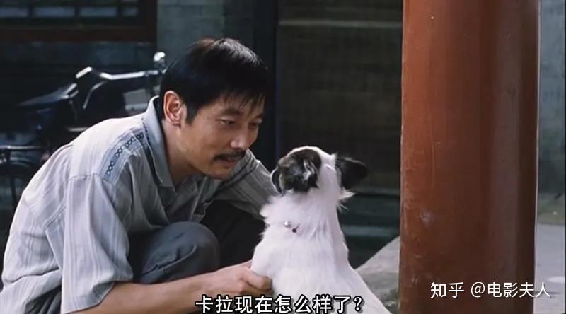 如何评论卡拉是条狗这部电影