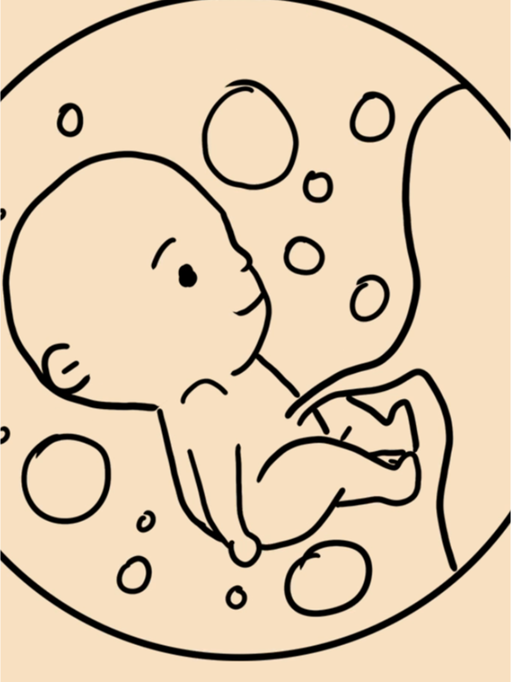 备孕,预防流产,胎儿健康