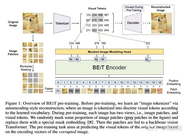 Codebert Training Process BEIT: BERT Pre-Training of Image Transformer - 知乎