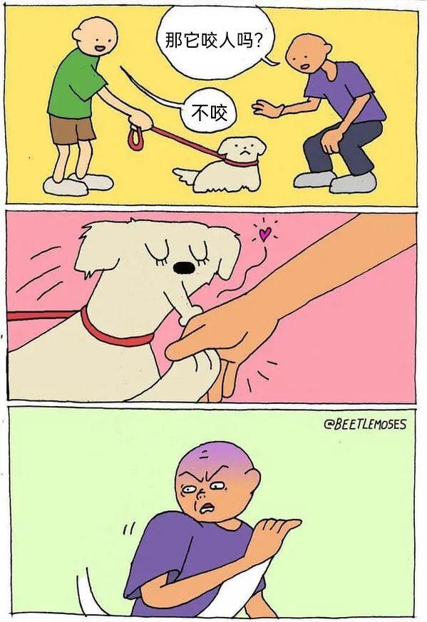 你看过的最有意思的meme、梗图有哪些? - 知乎