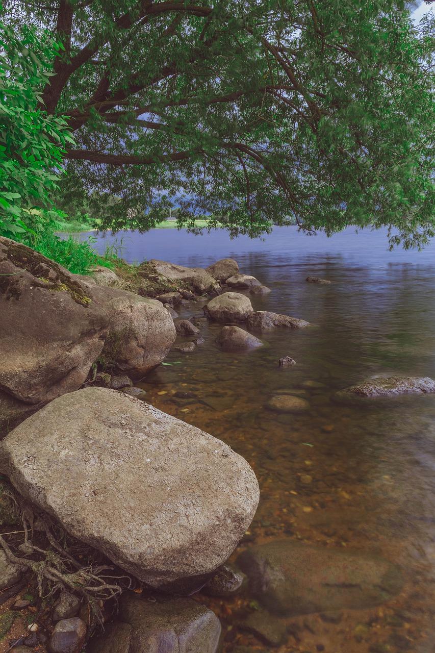 3. 五月赏花指南