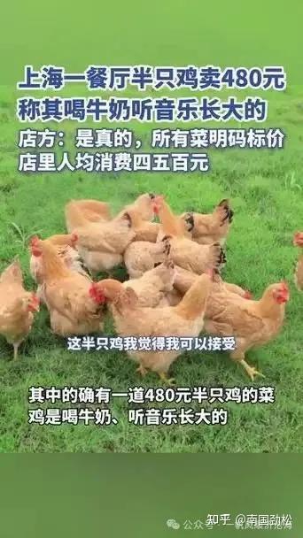 上海一餐馆半只鸡480元,老板说鸡喝牛奶听音乐长大的,这世上真有“贵族鸡”吗? - 知乎